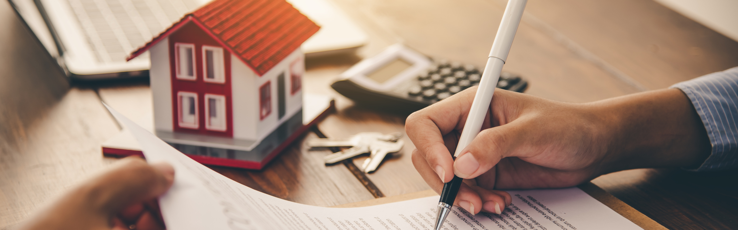 Due Diligence em Leilões