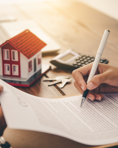 Due Diligence em Leilões